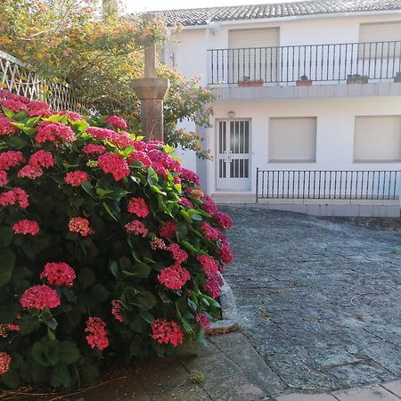 Casa Reboredo Pontevedra Ngoại thất bức ảnh