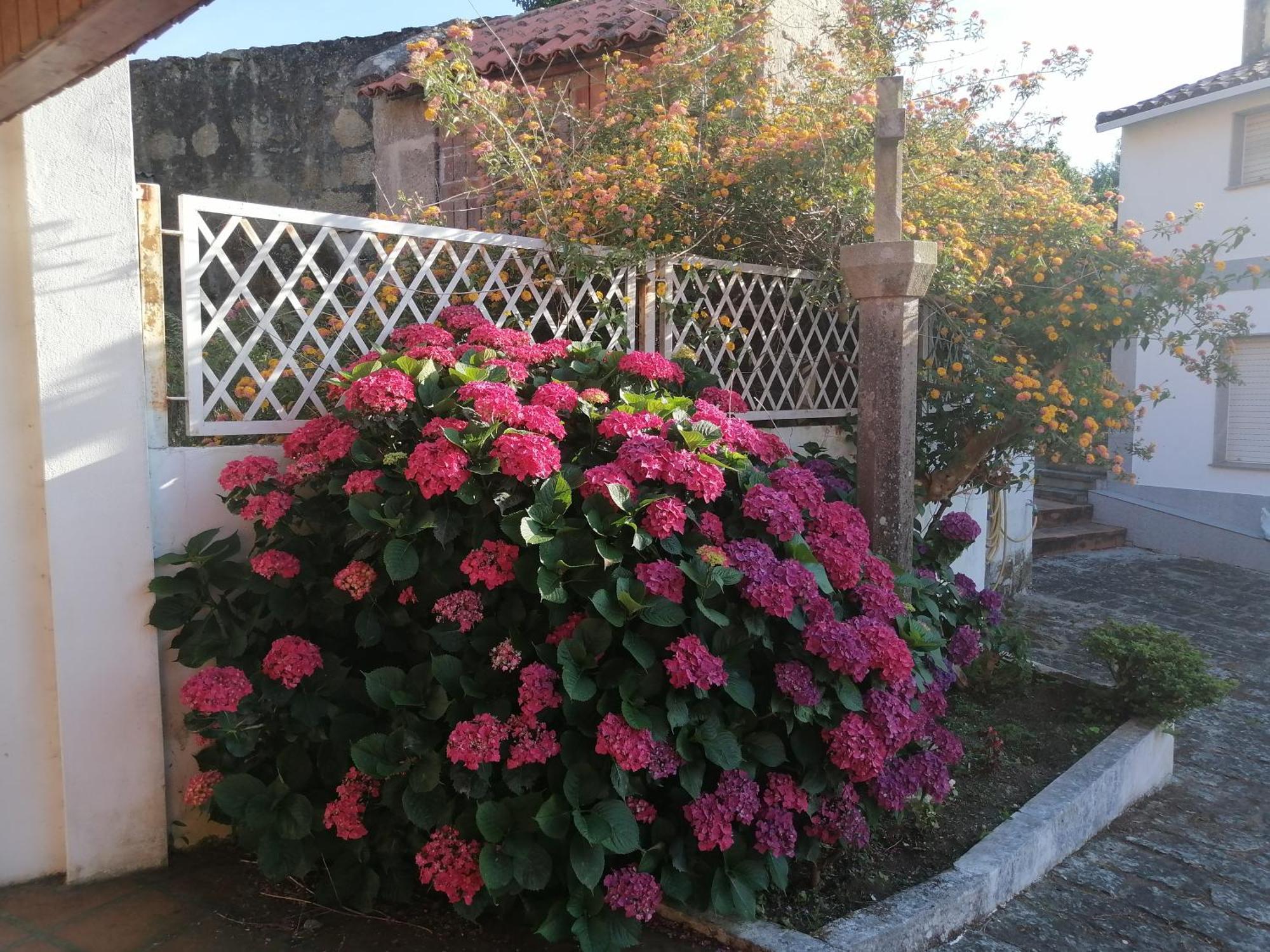 Casa Reboredo Pontevedra Ngoại thất bức ảnh